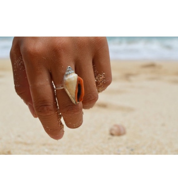 Seashell ring - Picture 4 of 4